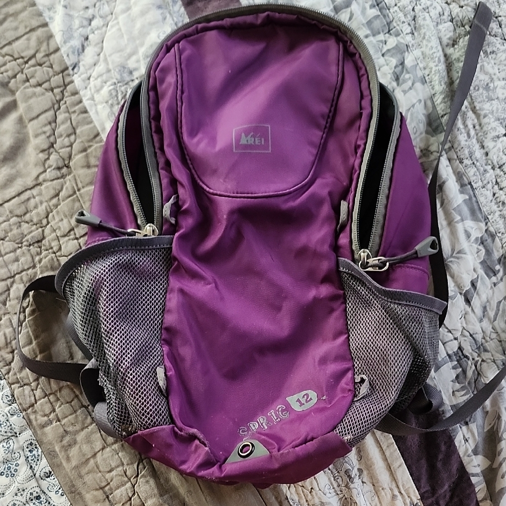 REI Violet Daypack